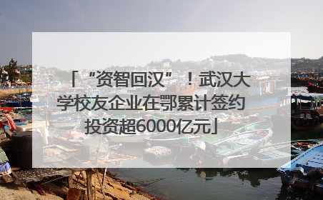 “资智回汉”！武汉大学校友企业在鄂累计签约投资超6000亿元