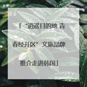 “逍遥目的地 青春经开区”文旅品牌推介走进韩国