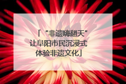 “非遗嗨翻天”让阜阳市民沉浸式体验非遗文化