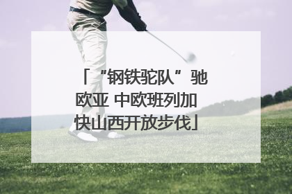 “钢铁驼队”驰欧亚 中欧班列加快山西开放步伐