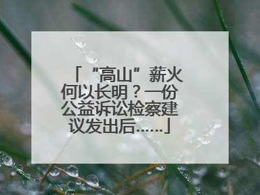 “高山”薪火何以长明？一份公益诉讼检察建议发出后……