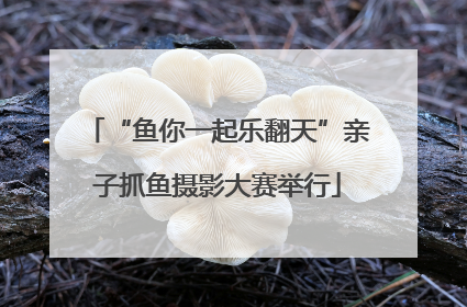 “鱼你一起乐翻天”亲子抓鱼摄影大赛举行