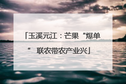 玉溪元江：芒果“爆单” 联农带农产业兴