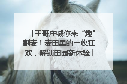 王哥庄喊你来“趣”割麦！麦田里的丰收狂欢，解锁田园新体验