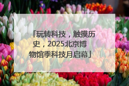 玩转科技，触摸历史，2025北京博物馆季科技月启幕