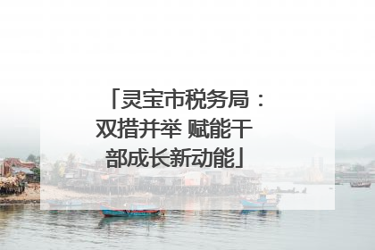 灵宝市税务局：双措并举 赋能干部成长新动能