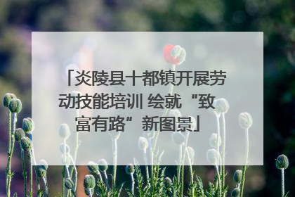 炎陵县十都镇开展劳动技能培训 绘就“致富有路”新图景