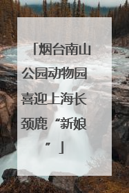 烟台南山公园动物园喜迎上海长颈鹿“新娘”