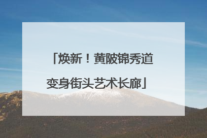 焕新！黄陂锦秀道变身街头艺术长廊