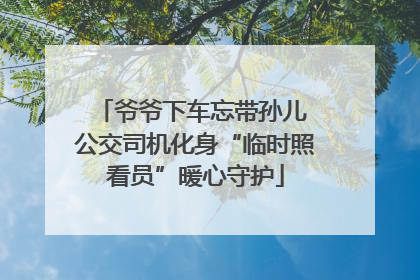爷爷下车忘带孙儿 公交司机化身“临时照看员”暖心守护