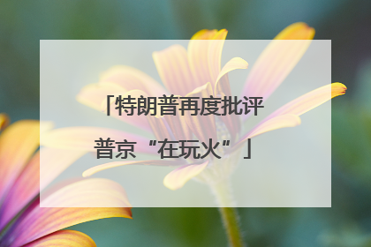 特朗普再度批评普京“在玩火”