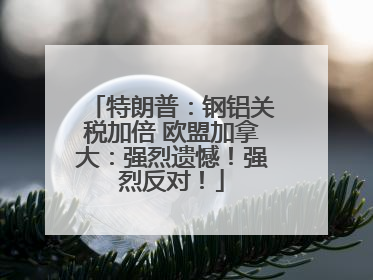 特朗普：钢铝关税加倍 欧盟加拿大：强烈遗憾！强烈反对！