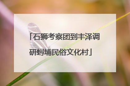 石狮考察团到丰泽调研蟳埔民俗文化村