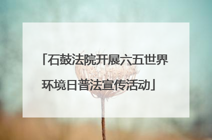 石鼓法院开展六五世界环境日普法宣传活动