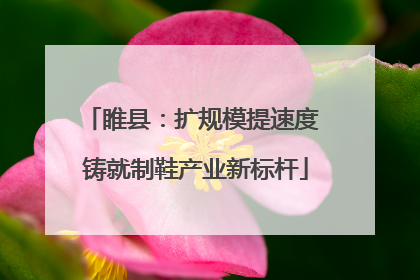 睢县：扩规模提速度 铸就制鞋产业新标杆