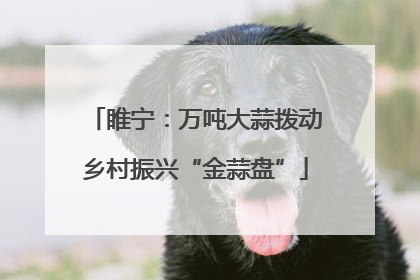 睢宁：万吨大蒜拨动乡村振兴“金蒜盘”