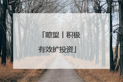 瞭望丨积极有效扩投资