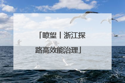 瞭望丨浙江探路高效能治理