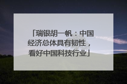 瑞银胡一帆：中国经济总体具有韧性，看好中国科技行业