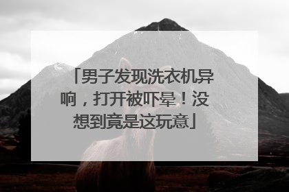 男子发现洗衣机异响，打开被吓晕！没想到竟是这玩意