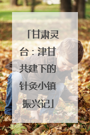 甘肃灵台：津甘共建下的针灸小镇振兴记