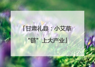 甘肃礼县：小艾草“链”上大产业