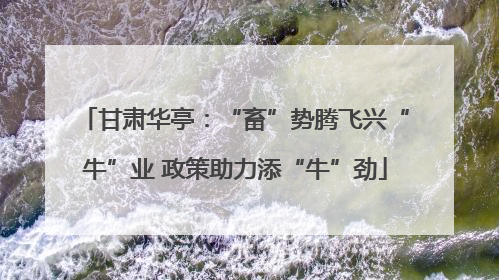 甘肃华亭：“畜”势腾飞兴“牛”业 政策助力添“牛”劲