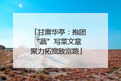 甘肃华亭：抱团“蔬”写菜文章 聚力拓宽致富路