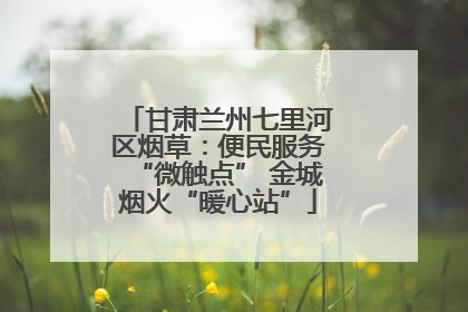 甘肃兰州七里河区烟草：便民服务“微触点” 金城烟火“暖心站”
