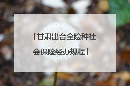 甘肃出台全险种社会保险经办规程