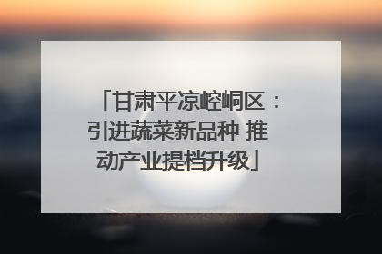 甘肃平凉崆峒区：引进蔬菜新品种 推动产业提档升级