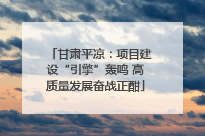 甘肃平凉：项目建设“引擎”轰鸣 高质量发展奋战正酣