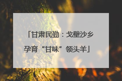 甘肃民勤：戈壁沙乡孕育“甘味”领头羊