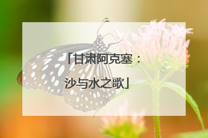 甘肃阿克塞：沙与水之歌