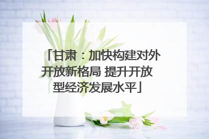甘肃：加快构建对外开放新格局 提升开放型经济发展水平