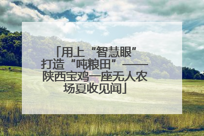 用上“智慧眼” 打造“吨粮田”——陕西宝鸡一座无人农场夏收见闻