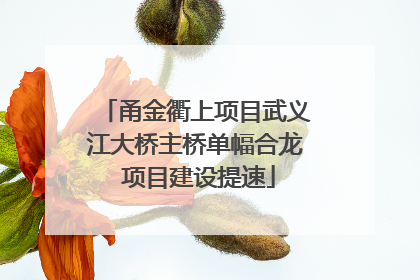 甬金衢上项目武义江大桥主桥单幅合龙 项目建设提速
