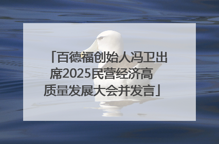 百德福创始人冯卫出席2025民营经济高质量发展大会并发言