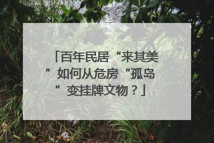 百年民居“来其美”如何从危房“孤岛”变挂牌文物？
