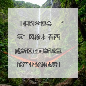 相约丝博会｜“氢”风徐来 看西咸新区泾河新城氢能产业聚链成势