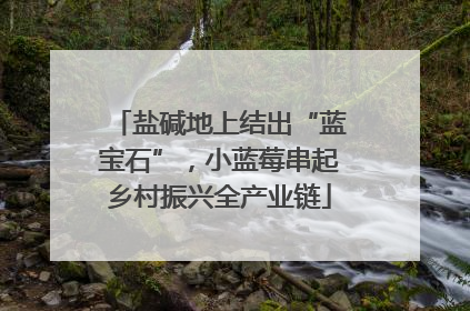 盐碱地上结出“蓝宝石”，小蓝莓串起乡村振兴全产业链