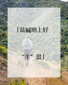 盐碱地上好“丰”景