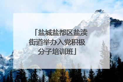 盐城盐都区盐渎街道举办入党积极分子培训班
