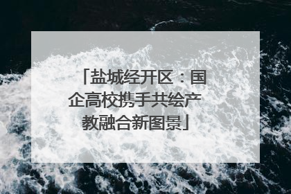 盐城经开区：国企高校携手共绘产教融合新图景
