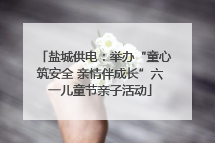 盐城供电：举办“童心筑安全 亲情伴成长”六一儿童节亲子活动