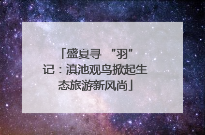盛夏寻 “羽” 记：滇池观鸟掀起生态旅游新风尚