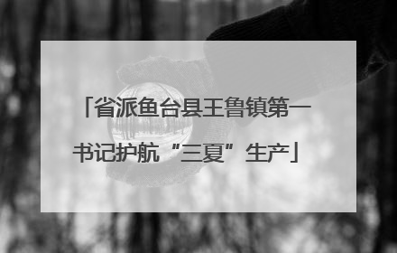 省派鱼台县王鲁镇第一书记护航“三夏”生产