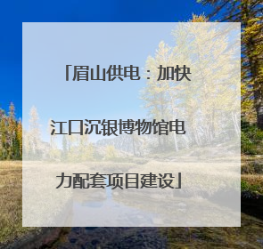 眉山供电：加快江口沉银博物馆电力配套项目建设