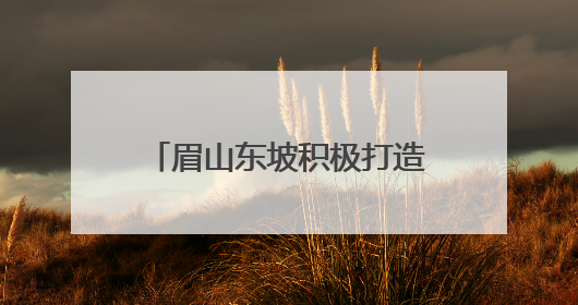 眉山东坡积极打造新时代更高水平“天府粮仓”示范区