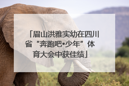眉山洪雅实幼在四川省“奔跑吧•少年”体育大会中获佳绩